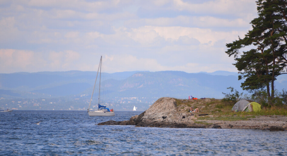 Solide tilskudd for Oslofjorden