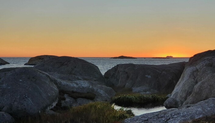 SOLNEDGANG. Sola går ned i havet fra svenskekysten.