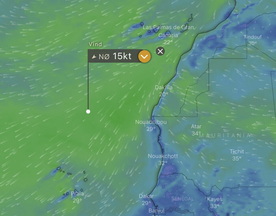 PROGNOSE: Stabil vind fra nordøst i fem dager fremover vil gi gode forhold.