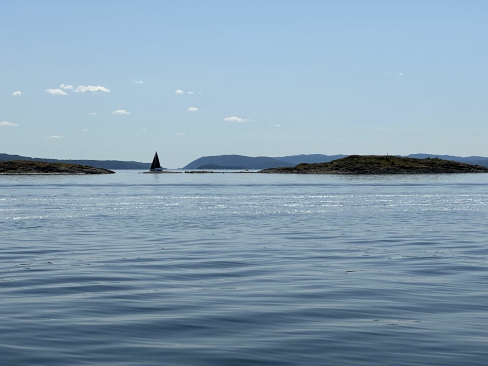 Oslofjorden ved Rauskjær juni 2023