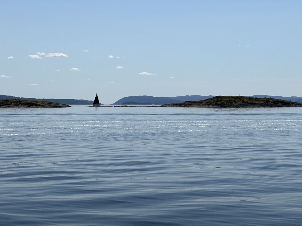 Oslofjorden ved Rauskjær juni 2023