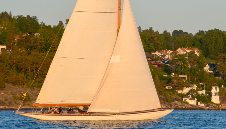 SEIER: 12 m «Vema» vant klassen for klassiske treseilere i 2023.