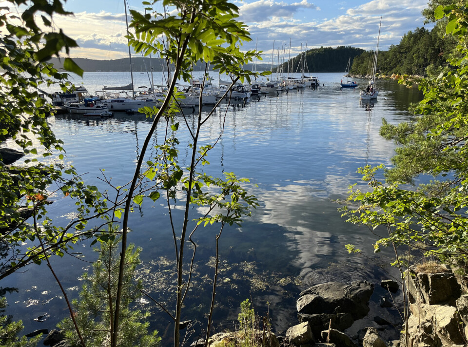 SOLID: I Dragesund på Håøya ligger båtene trygt ved solid bryggeanlegg ytterst og naturhavner innenfor i bukta.