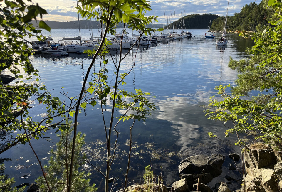 Håøya slår an hos båtfolket
