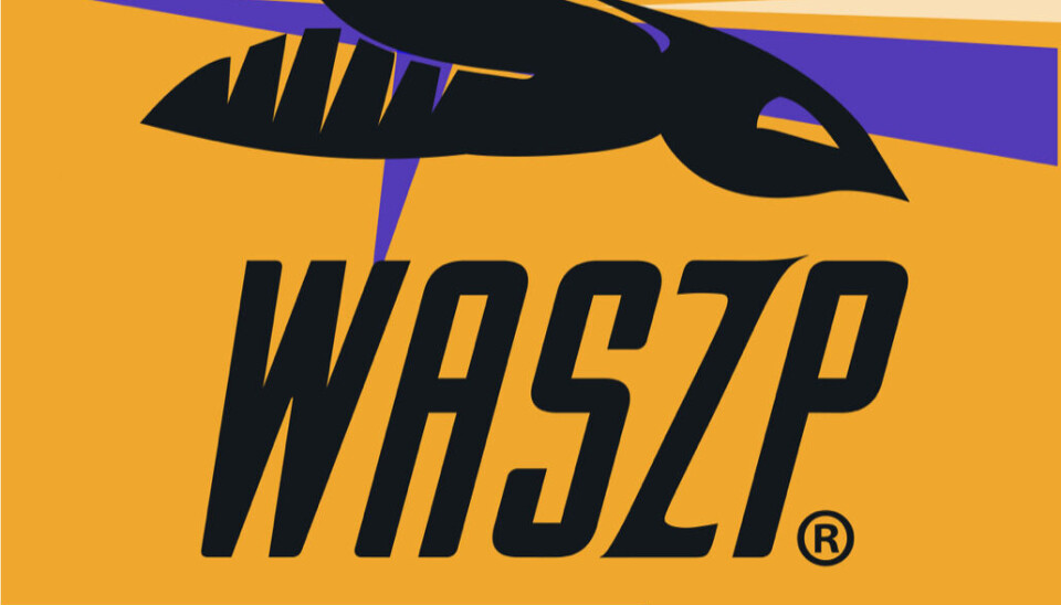 WASZP samling i Sandefjord