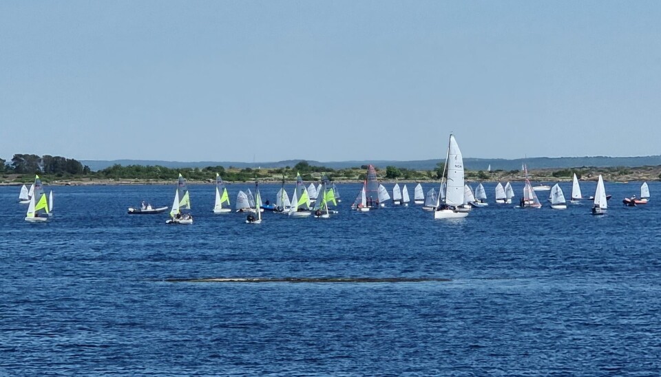 Variert vårsesong for jollene