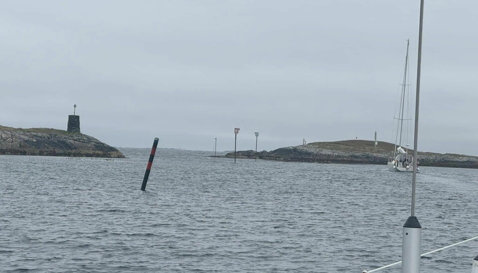 FINT å seile sammen med noen YR LYVER Skodda lå lavt.