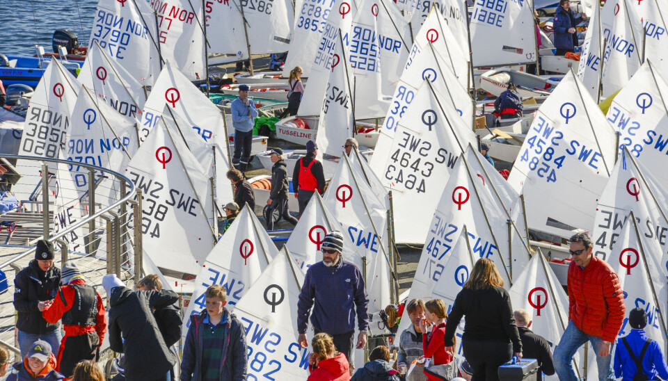 REKRUTTERING: NSF ønsker å styrke administrasjonen med en som kan hjelpe seilforeningene i deres rekrutteringsarbeid. Norgescup i Asker i 2016