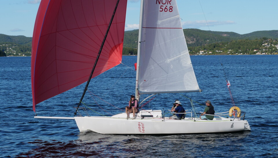 J80: «Jippi» vant minste NorRating-klasse.