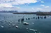 Start of the Rolex Sydney Hobart yacht race