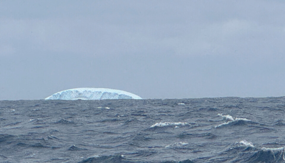 FARE: Denne uken har seilerne observert isfjell i Stillehavet. Det kan være livsfarlig. RACE, DECEMBER 02, 2024 : Photo sent from the boat MS Amlin during the Vendee Globe sailing race on December 02, 2024. (Photo by skipper Conrad Colman)iceberg