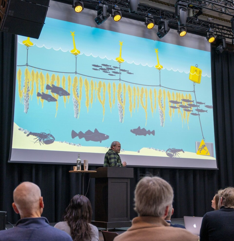 Lars Dalen i Marinreparatørene ser for seg at badebøyer kan være del av marine nyttehager der f.eks. tare kan dyrkes nedsenket under badebøyene. Marinreparatørene har allerede etablert en marin nyttehage på Nesodden.