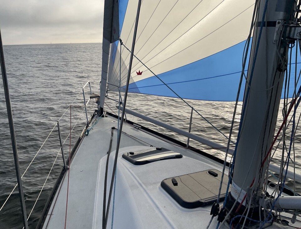 KURS: Seilasen er avkortet, og målgang er ved Tisler, syd for Hvaler.