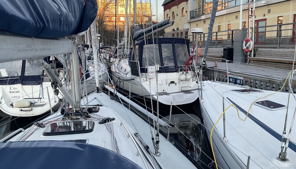 MORGEN SOL: Iskald morgen i Strömstad, men allikevel var det galinger som badet mellom isflakene.