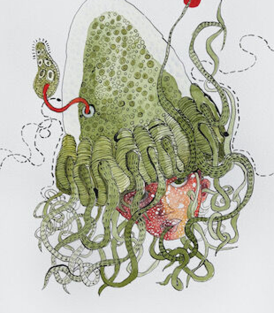 Pippip Ferner Apalnes´ fantasifigur