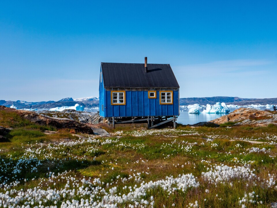 Blue,House,In,The,Small,Village,Of,Tiilerilaaq,(mixed,Spelling: