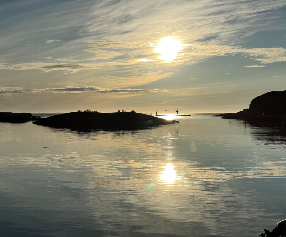 UT PÅ TUR: Bodø Seilforening jobber for å få med enda flere på tur og regatta.