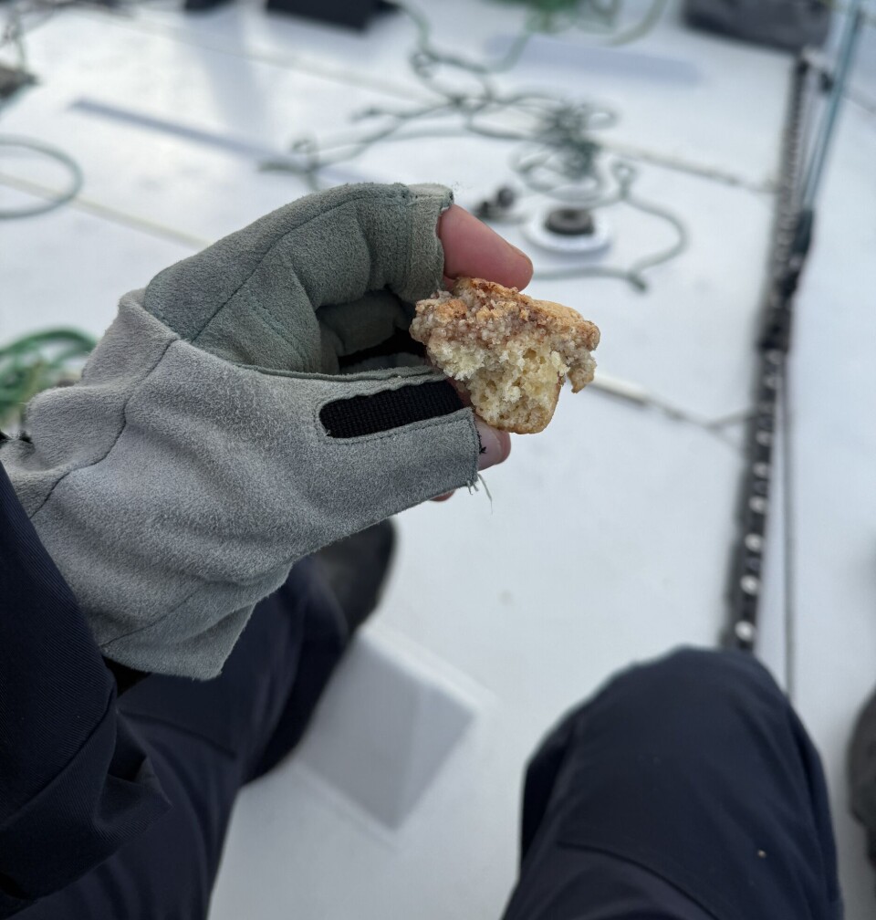 MAT: Eplakake om bord på «F-16»