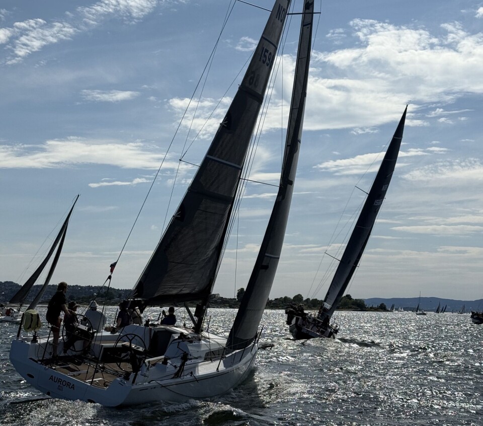 PSYCHO: Den unge gjengen er ved Kjøvangen. Her med Aurora rett foran.