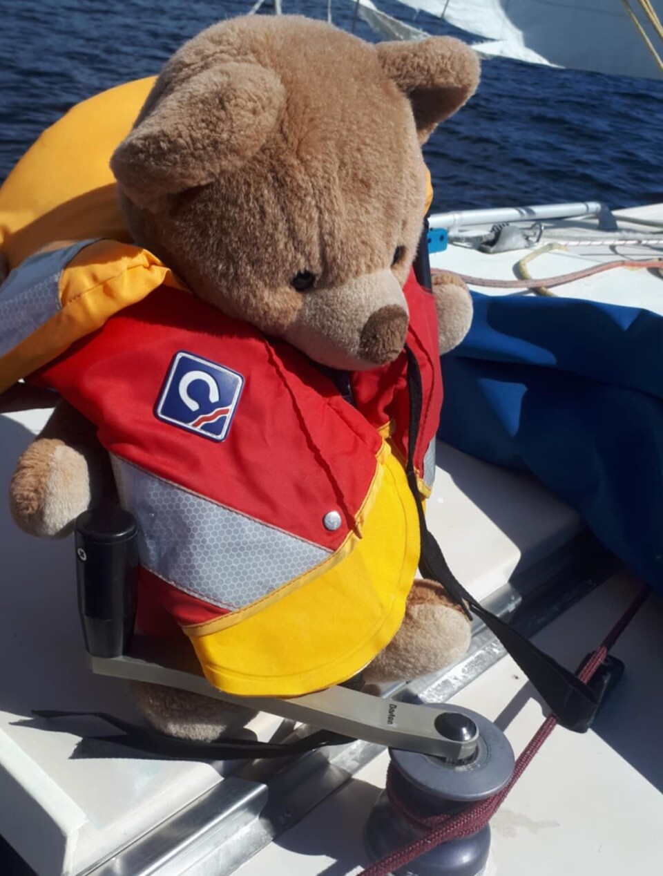 STERK: Som dere ser mangler det ikke muskler hos denne bamsen.