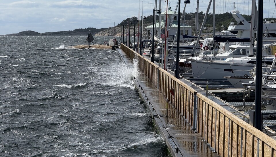 VIND: Selv i en trygg havn kan det bli ubehagelig om bord i mye vind slik som vi har hatt i sommer. Her fra Strömstad.