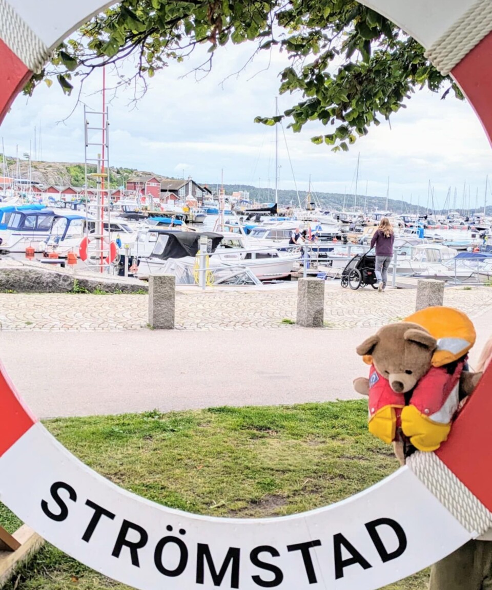 STRØMSTAD: I dag storkoser Frisk seg i Strømstad.