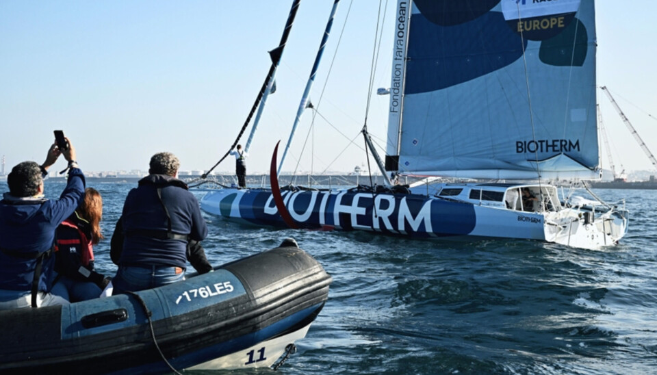 BEST: «Biotherm» har så lang vist seg som den sterkeste båten i The Ocean Race Europe.