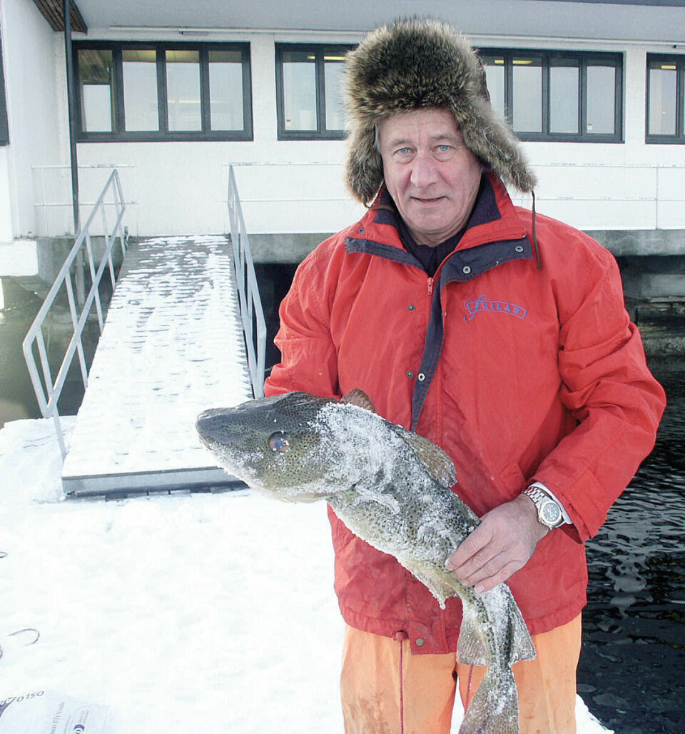 TORSK: Henrich fisket fra kontoret på Dronningen, den gangen det var torsk i Oslofjorden.