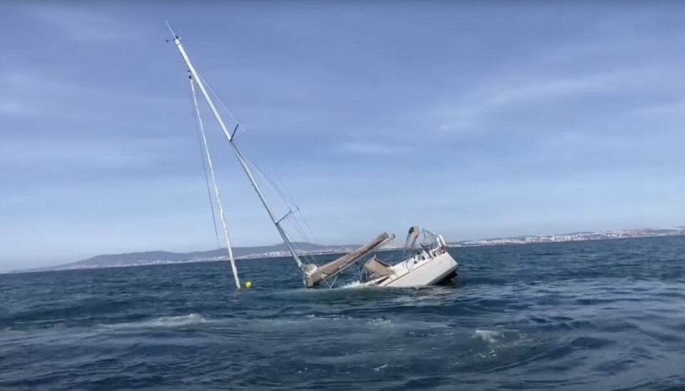 SANK: «Oceanview» sank etter å blitt angrepet av spekkhoggere.