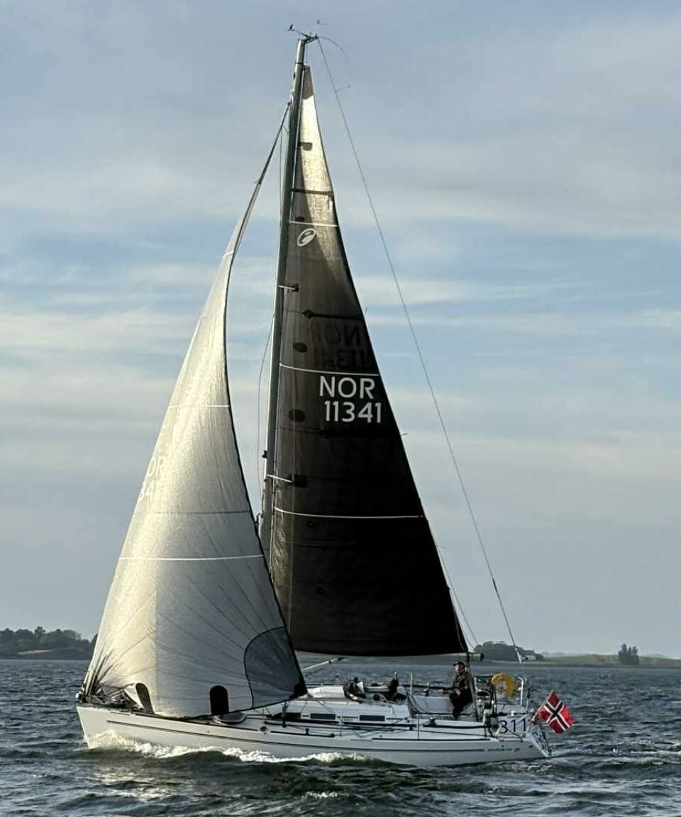 ELAN 37: Willy Forland ble best av de norske seilerne.