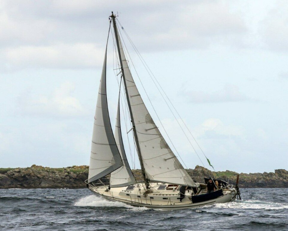 SPISSGATTER: Irske Pat Lawless en Saltram Saga 36, «Green Rebel» under Golden Globe Race i 2022.
