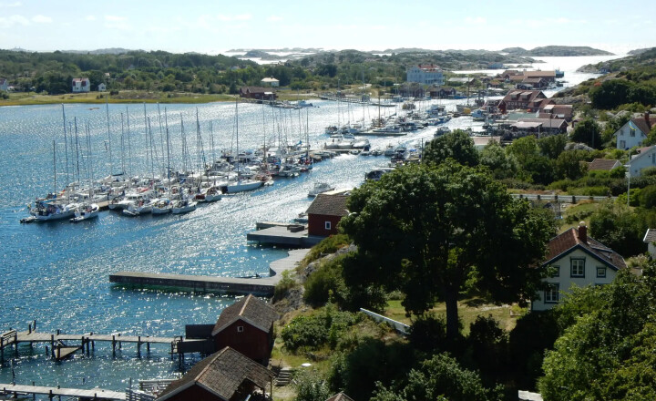 - Redusert tråling har endret livet i Kosterhavet