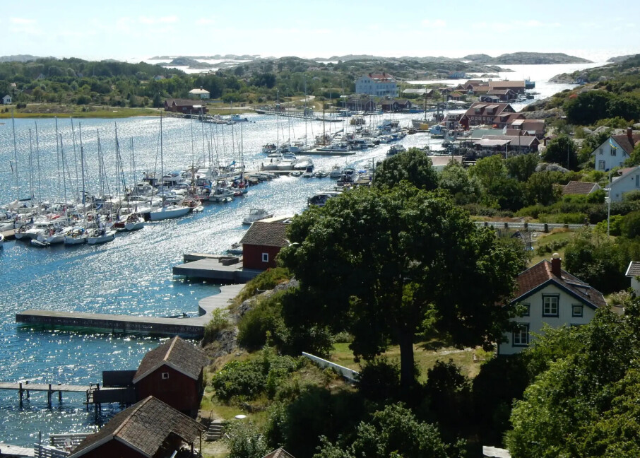 - Redusert tråling har endret livet i Kosterhavet