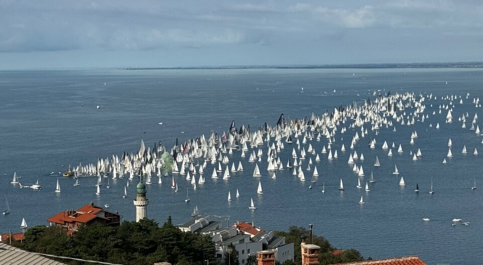 Stemningsrapport fra Barcolana