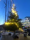 JULETRE: Feller julelystenning er tradisjon på brygga.