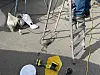 LEDNING: Roterende maskin med en skikkelig saueullspad er effektivt for store flater.