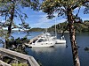 Flere hvite fritidsbåter ligger tett ved en brygge mellom trær ved vannet. Dragsundbukta Håøya.