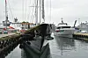 Stor svart og hvit seilyacht ligger ved kai i en havn med flere båter og master i bakgrunnen.