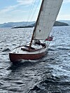 Seilbåt med stort hvitt seil på vannet nær en kyst med fjell i bakgrunnen.