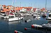 Seilbåter og motorbåter i en småbåthavn med røde hus og master i bakgrunnen.