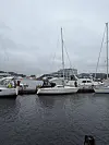 Seilbåter fortøyd ved en brygge i en småbåthavn under overskyet himmel.