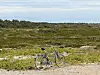 BEACH LIFE: Med sykkel kommer du deg rundt det som er å se på noen timer.