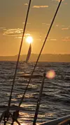 PÅ GJENSYN: I soloppgangen seilte vi ut fra havn og hver vår vei. De mot Århus jeg mot Oslo.