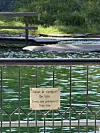 Seler er rovdyr skilt i slottskogens djurpark.