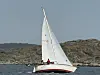 CIRRUS: En lekker Albin Cirrus kom seilende forbi ved Orust.