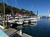 Seilbåter fortøyd ved en marina i solskinn, med skog og blått vann i bakgrunnen.