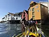 Hund i kajakk på vannet foran fargerike trehus.